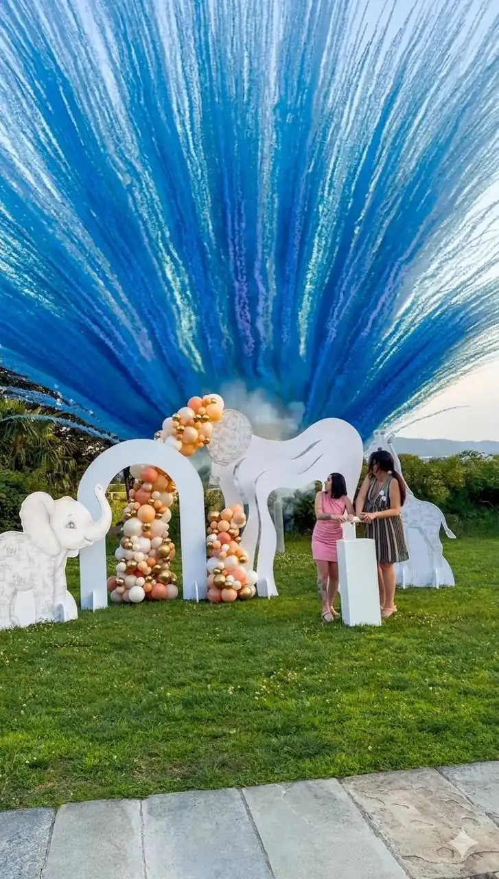 Gender Reveal - Baby Shower