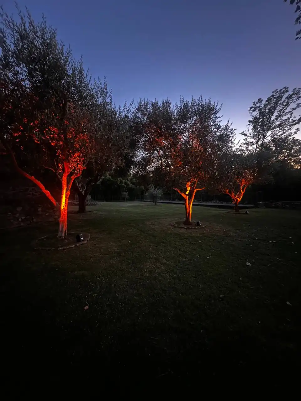 Light Design